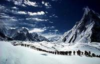 Gasherbrum K2 Trek